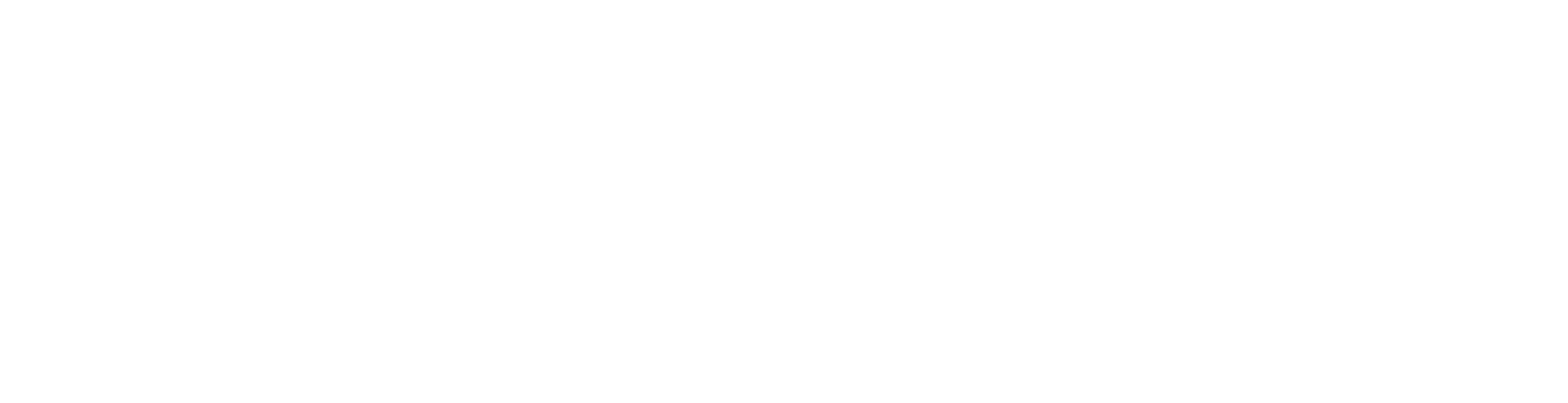 IDT — Innovative Digital Technologies